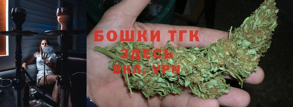 крисы Армянск