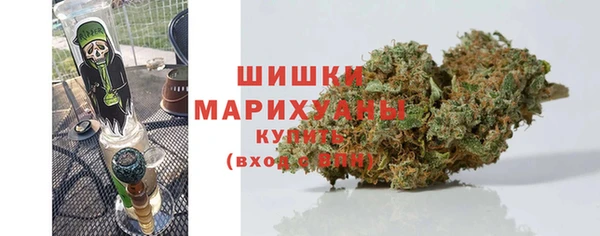 крисы Армянск