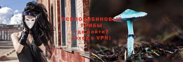 прущий лед Арсеньев