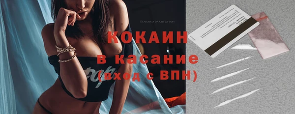крисы Армянск
