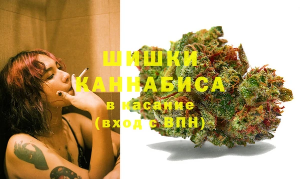 амф Аркадак
