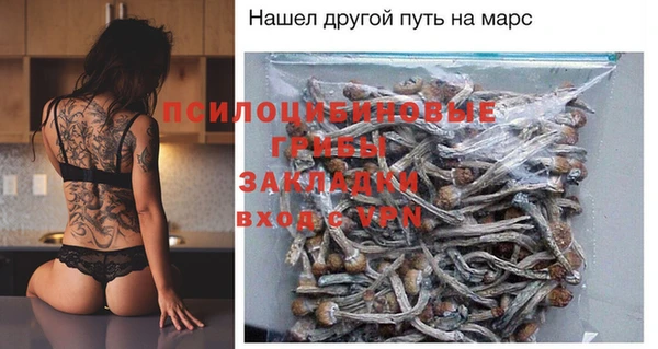 крисы Армянск