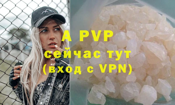 амф Аркадак