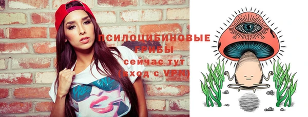 прущий лед Арсеньев