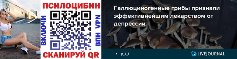 Псилоцибиновые грибы мухоморы  Кинель 